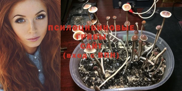 хмурый Балахна