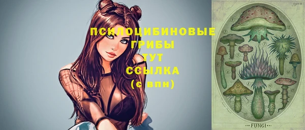 хмурый Балахна