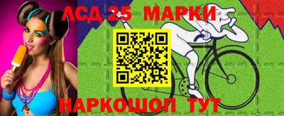 мдпв Гатчина