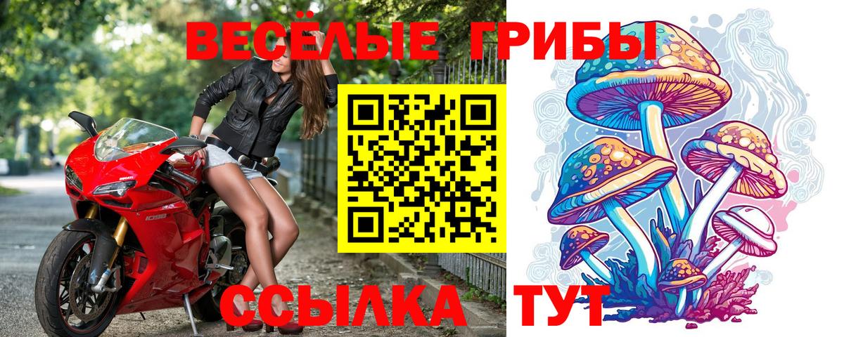 Галлюциногенные грибы мухоморы Горячий Ключ