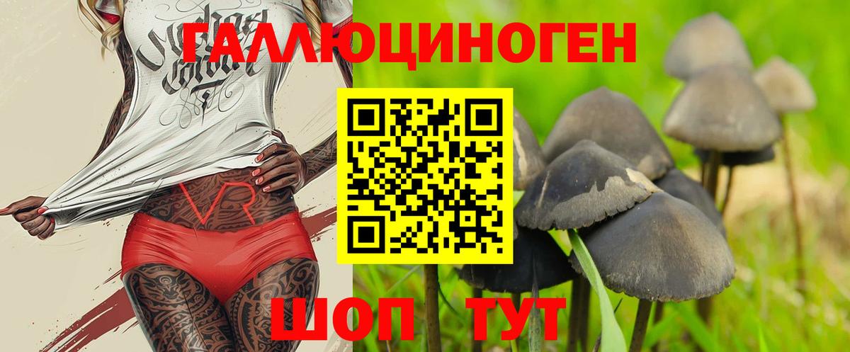 Псилоцибиновые грибы GOLDEN TEACHER Горячий Ключ