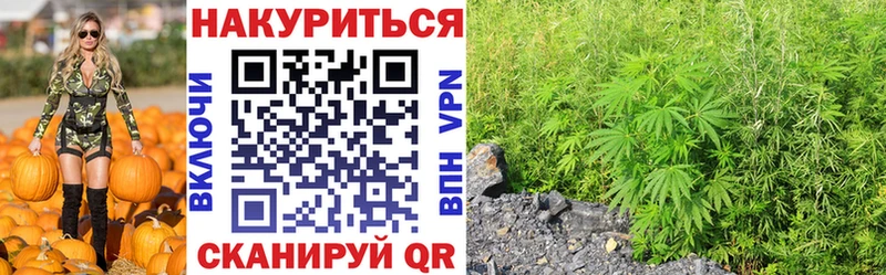 купить наркотик  Горячий Ключ  Конопля сатива 